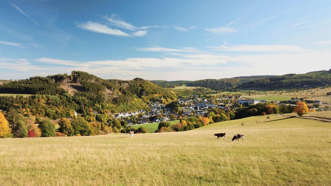 Sauerland Stern Hotel ヴィリンゲン エクステリア 写真